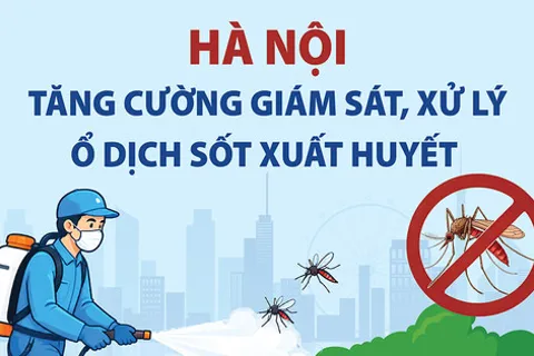 Hà Nội tăng cường giám sát, xử lý ổ dịch sốt xuất huyết