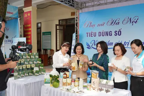 Chủ tịch Hội Liên hiệp phụ nữ thành phố Hà Nội Lê Kim Anh: Thúc đẩy bình đẳng giới, nâng cao vị thế phụ nữ thời đại mới