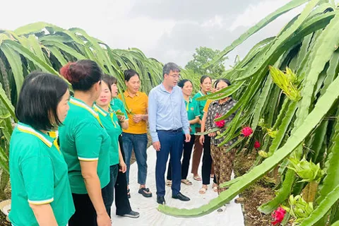 Lan tỏa những mô hình xanh