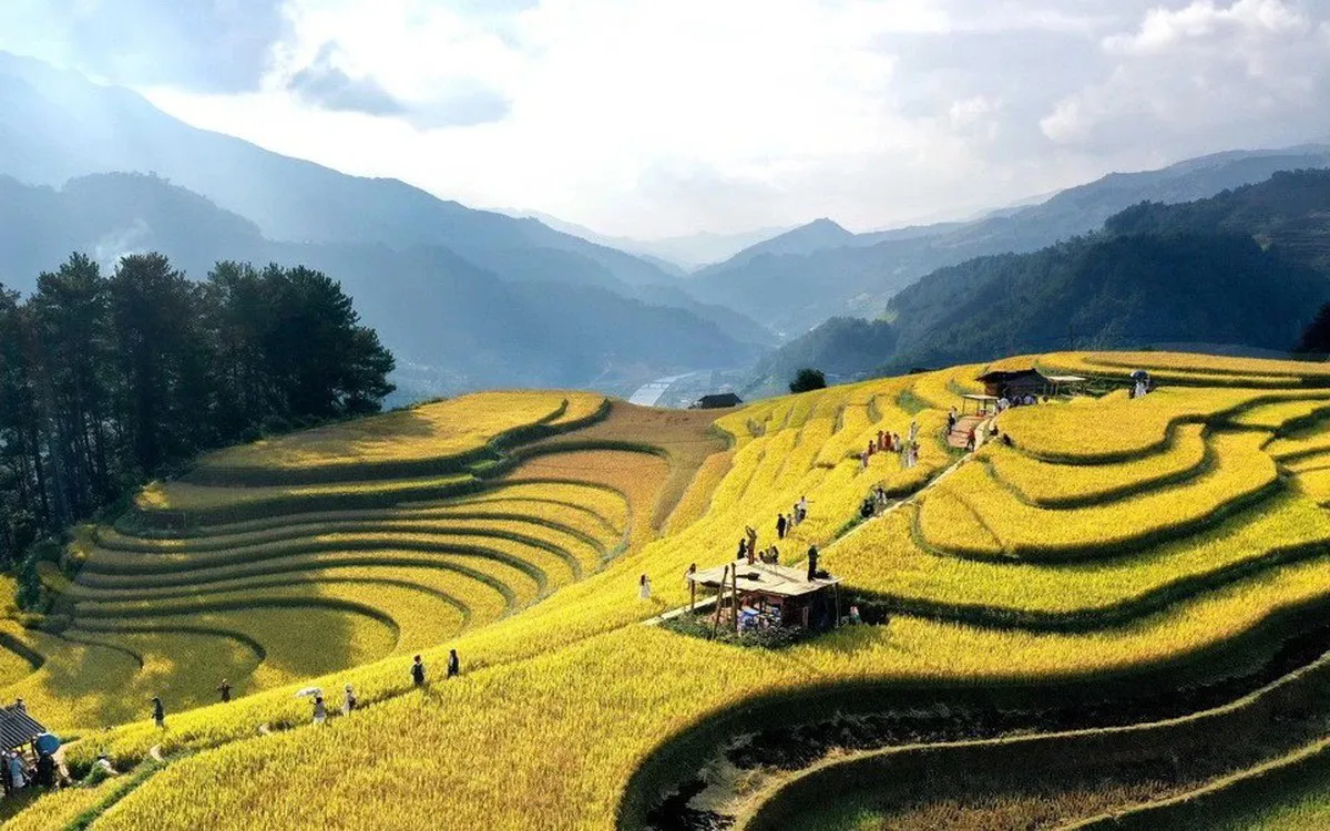 Việt Nam đứng thứ 4 trong xu hướng du lịch mùa thu 2026