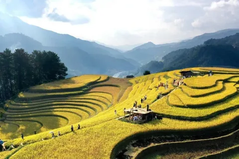 Việt Nam đứng thứ 4 trong xu hướng du lịch mùa thu 2026