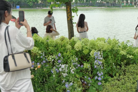 Những khoảng xanh quý giá giữa lòng đô thị