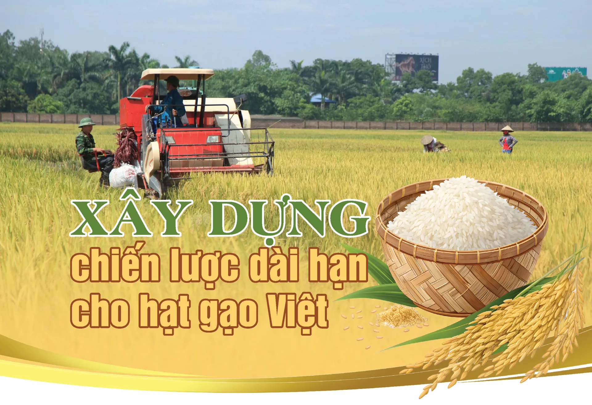 Hình ảnh 1