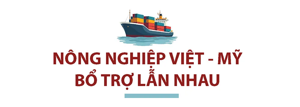 Hình ảnh 2