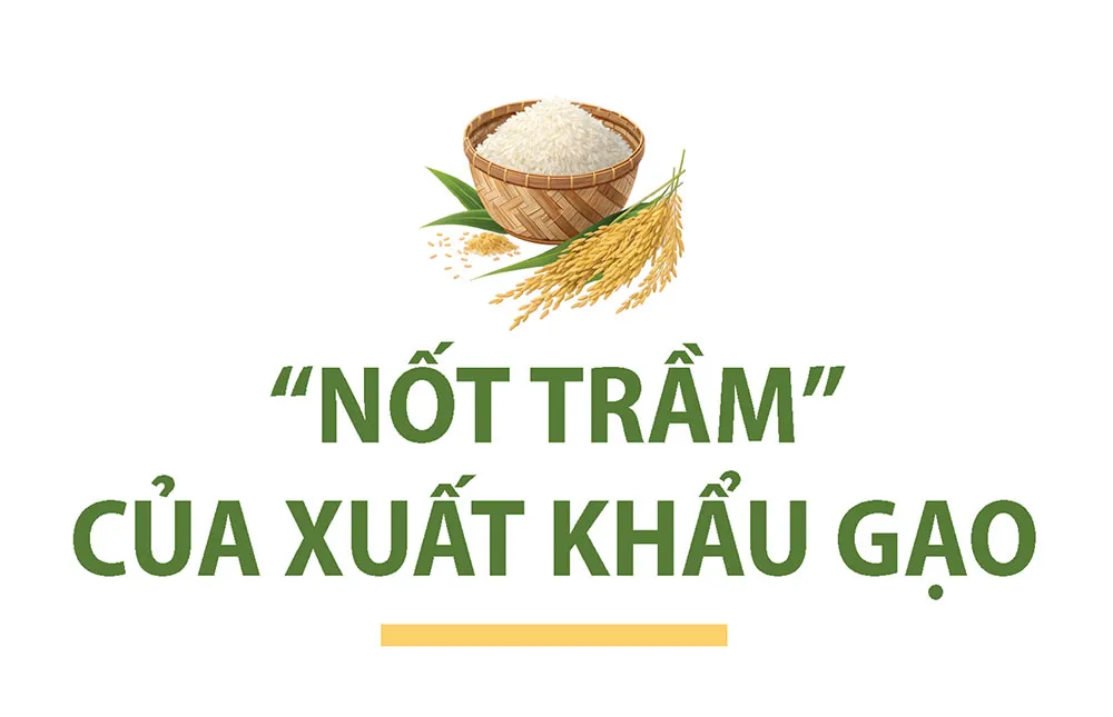 Hình ảnh 2