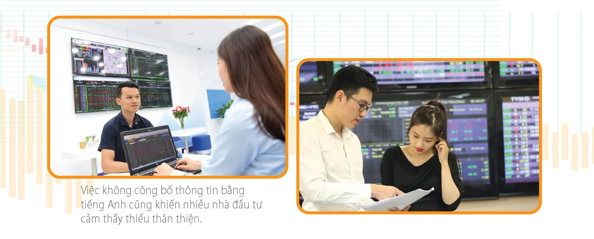 Hình ảnh 6