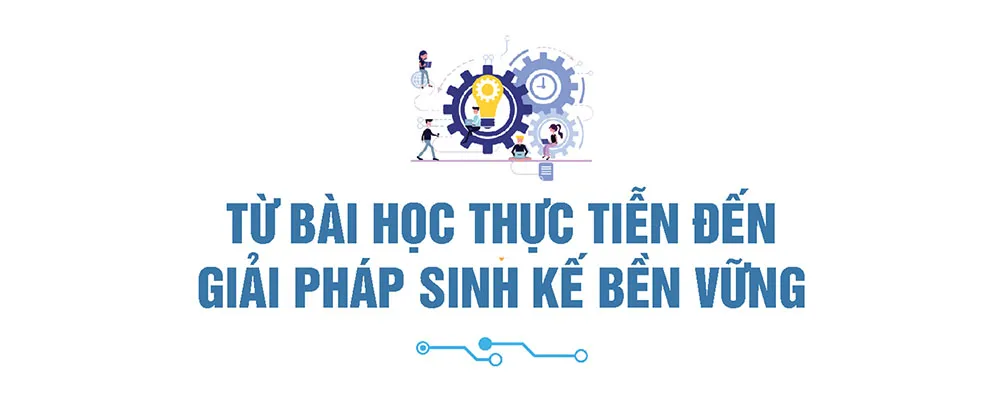 Hình ảnh 7