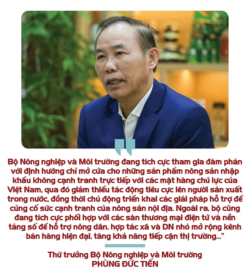 Hình ảnh 7