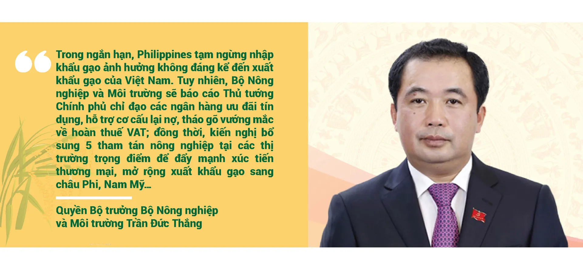 Hình ảnh 8