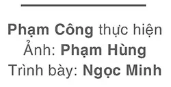 Hình ảnh 8