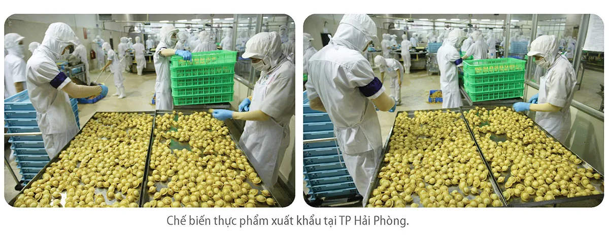 Hình ảnh 9