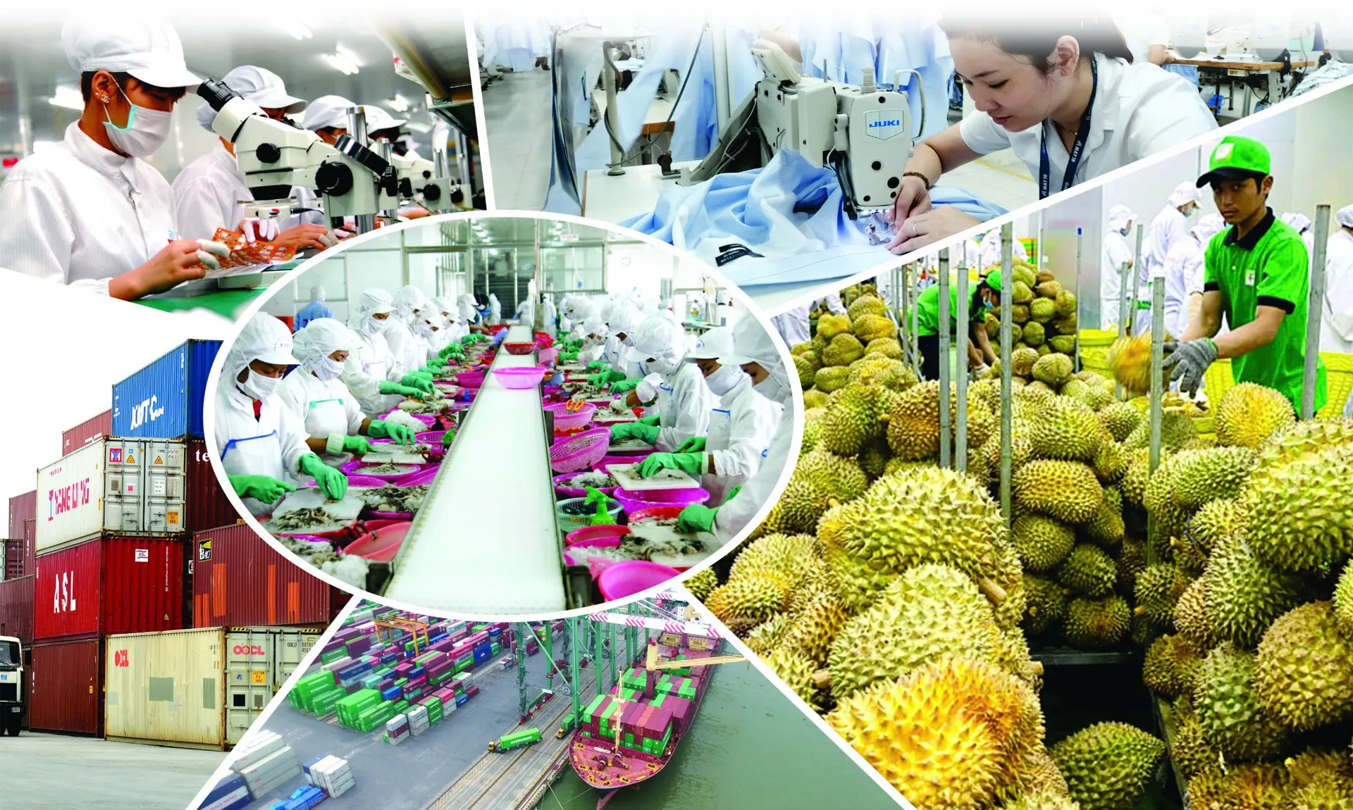 Minh bạch nguồn gốc hàng hóa để giữ thị trường Mỹ