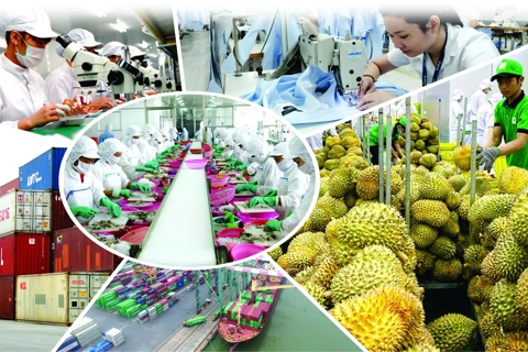 Minh bạch nguồn gốc hàng hóa để giữ thị trường Mỹ
