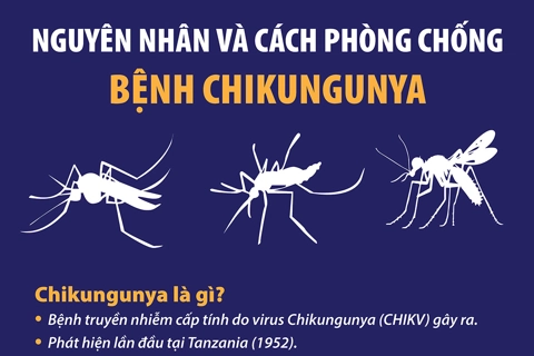 Nguyên nhân và cách phòng, chống bệnh Chikungunya
