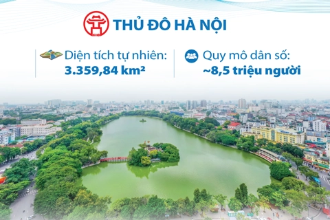 126 xã, phường tổ chức theo mô hình chính quyền địa phương 2 cấp