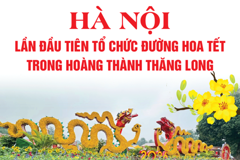 Hà Nội: Lần đầu tiên có đường hoa Tết tại Hoàng thành Thăng Long