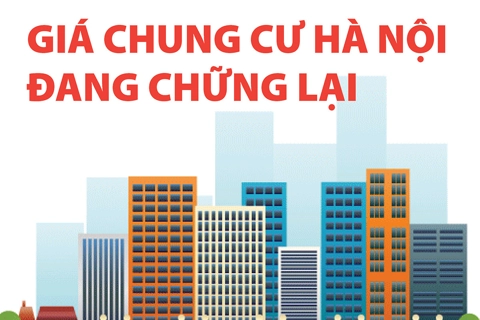 Giá chung cư Hà Nội đang chững lại
