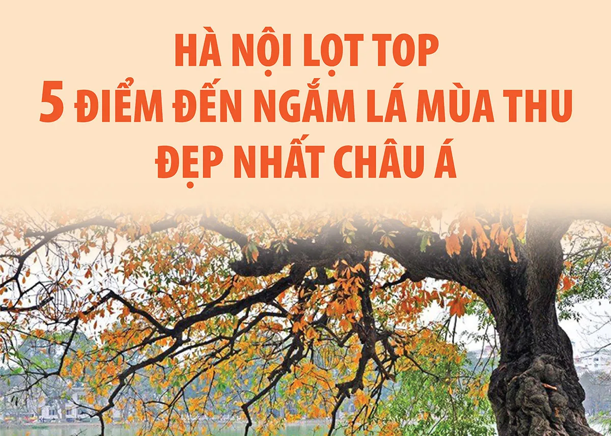 Hà Nội vào Top 5 điểm đến ngắm lá mùa Thu đẹp nhất châu Á