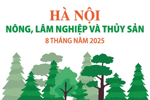 Hà Nội: Sản xuất nông, lâm nghiệp và thủy sản 8 tháng năm 2025 tăng trưởng tích cực