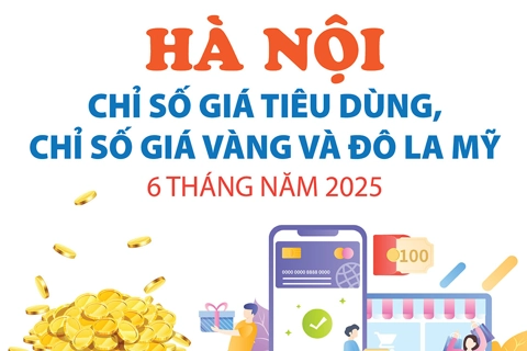 Hà Nội: Chỉ số giá tiêu dùng, chỉ số giá vàng và đô la Mỹ 6 tháng năm 2024
