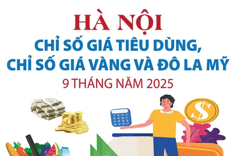 Hà Nội: Chỉ số giá tiêu dùng, chỉ số giá vàng và đô la Mỹ 9 tháng năm 2025