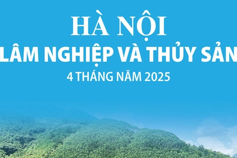 Hà Nội: Chi tiết sản xuất lâm nghiệp và thủy sản 4 tháng năm 2025