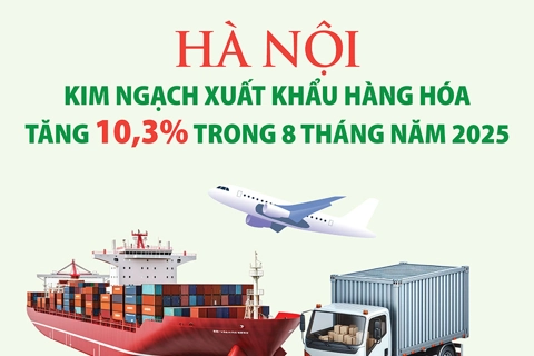 Hà Nội: Kim ngạch xuất khẩu hàng hóa tăng 10,3% trong 8 tháng năm 2025