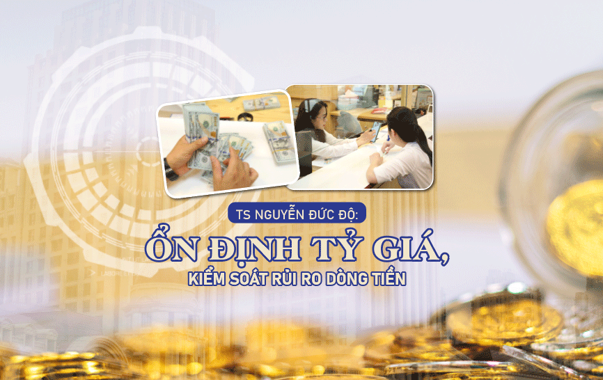 TS Nguyễn Đức Độ: Ổn định tỷ giá, kiểm soát rủi ro dòng tiền