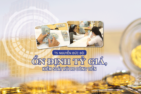 TS Nguyễn Đức Độ: Ổn định tỷ giá, kiểm soát rủi ro dòng tiền