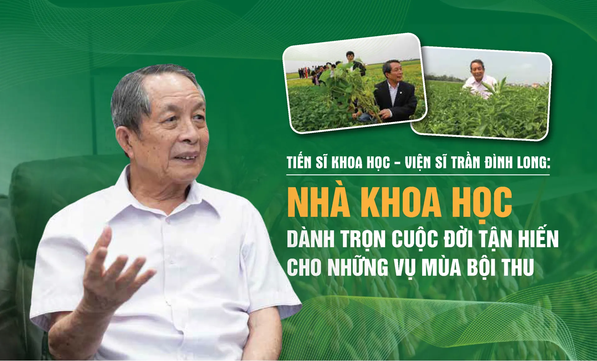 Hình ảnh 1