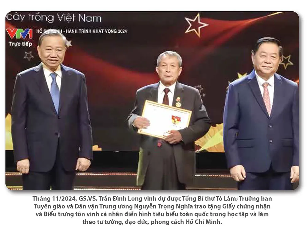 Hình ảnh 2