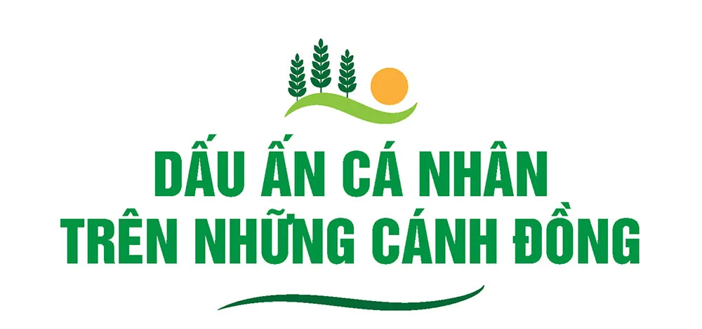 Hình ảnh 3