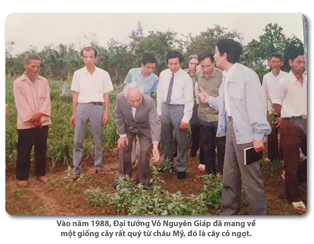 Hình ảnh 6
