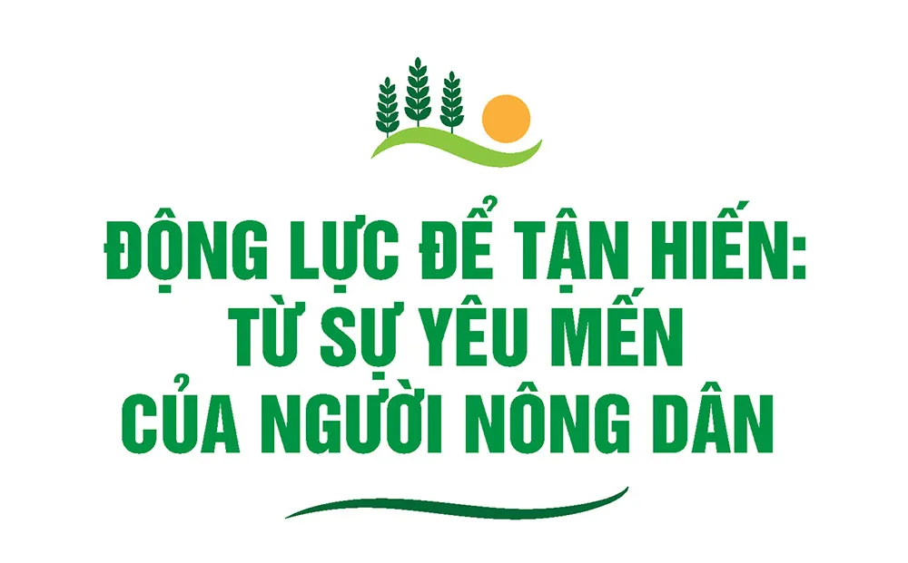 Hình ảnh 8