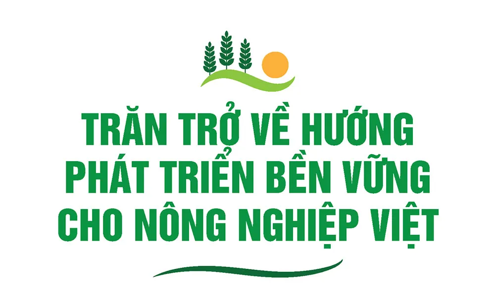 Hình ảnh 11