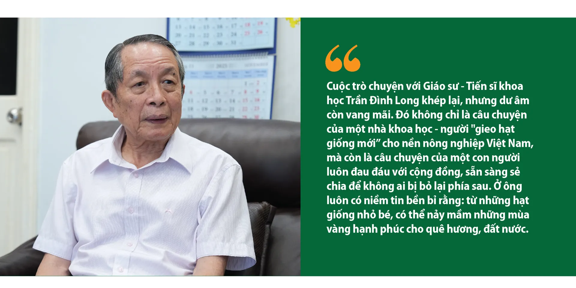 Hình ảnh 12