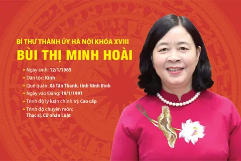 Tóm tắt tiểu sử Bí thư Thành ủy Hà Nội Bùi Thị Minh Hoài
