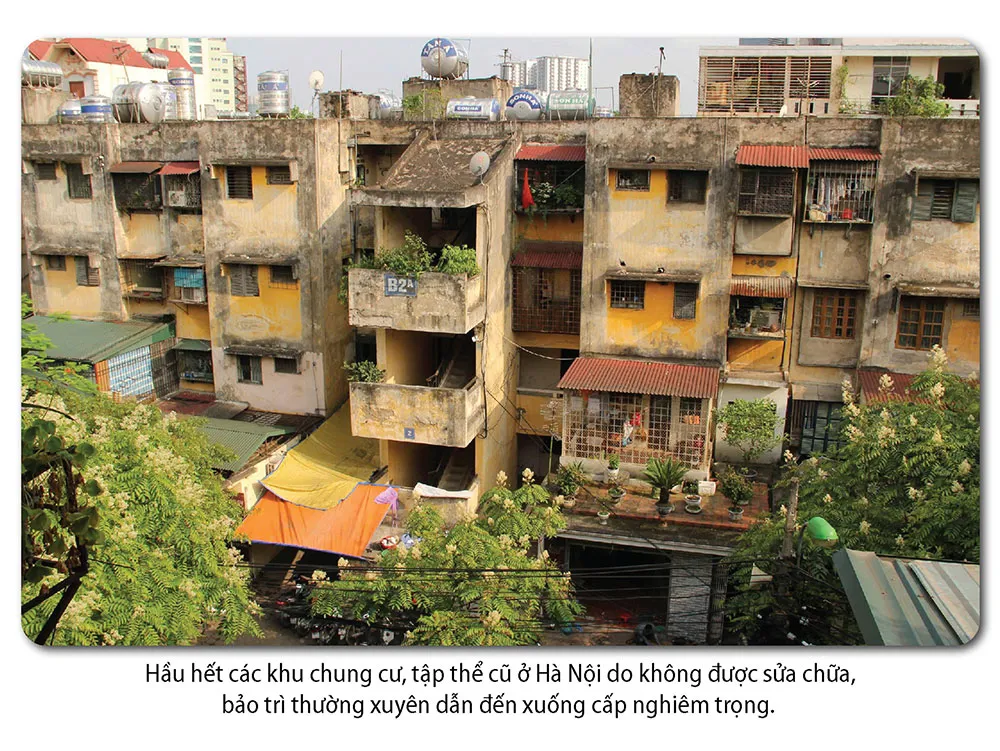 Hình ảnh 2