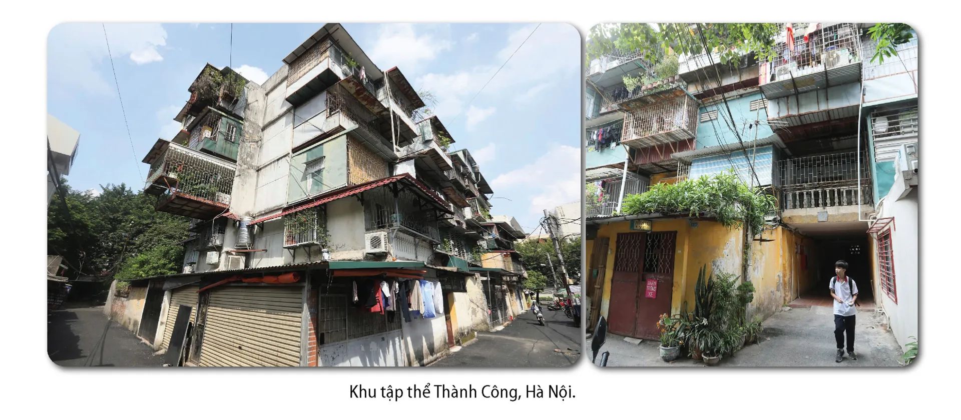 Hình ảnh 4