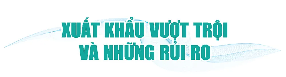 Hình ảnh 2