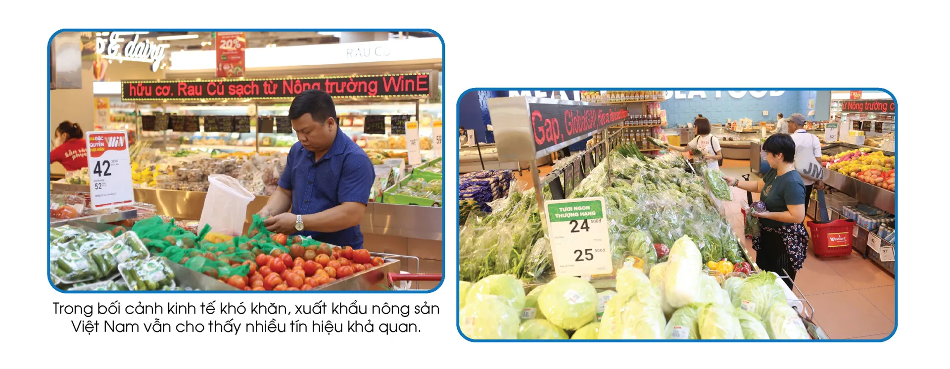 Hình ảnh 5