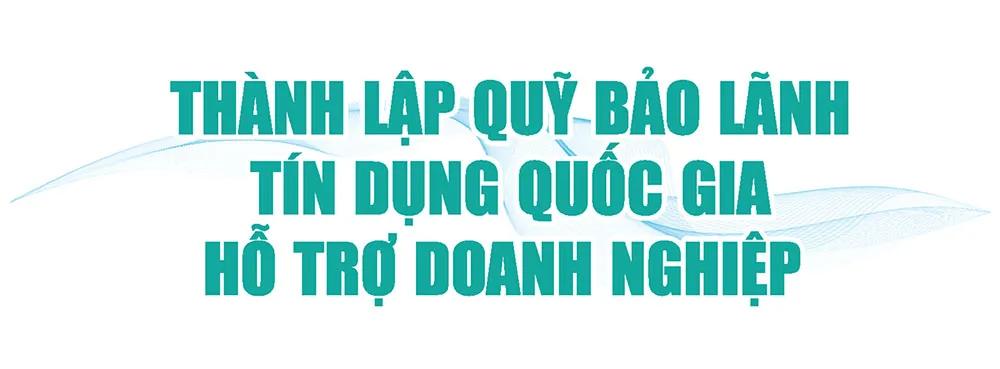 Hình ảnh 7