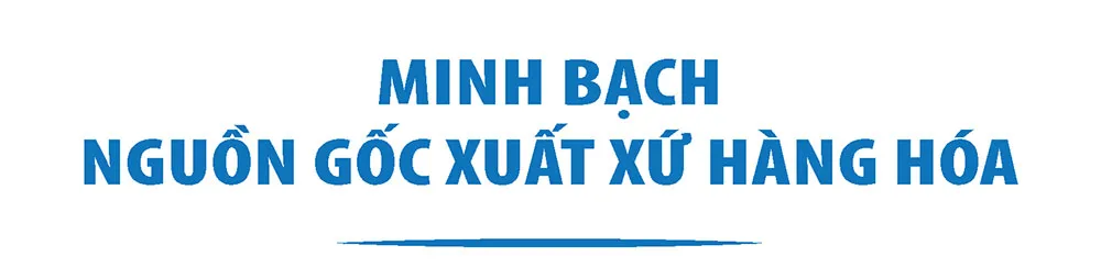 Hình ảnh 8