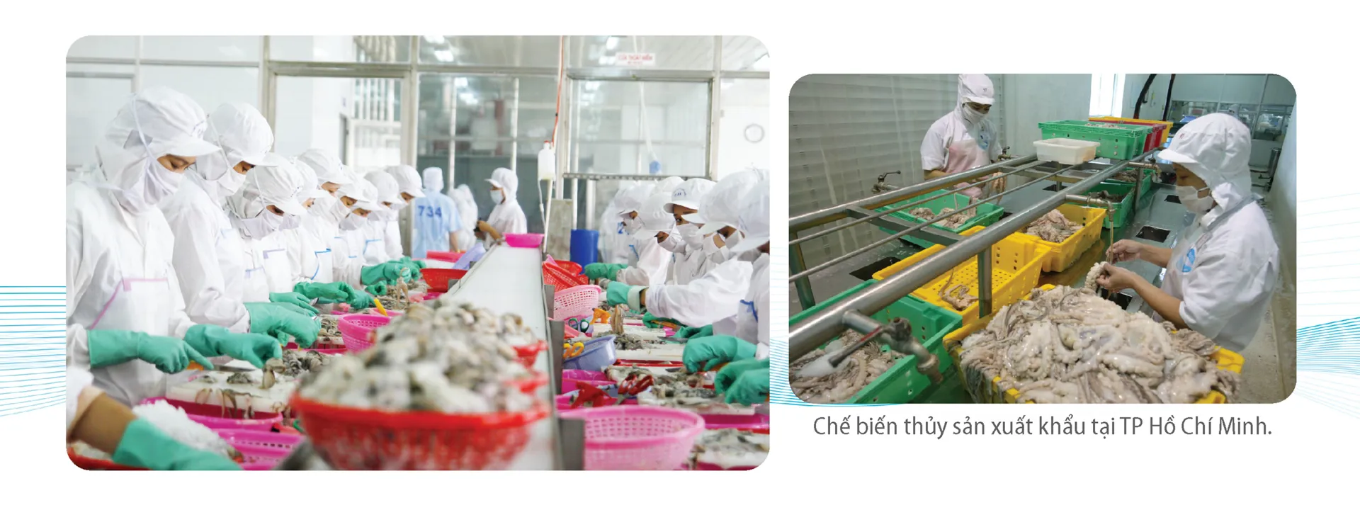 Hình ảnh 9