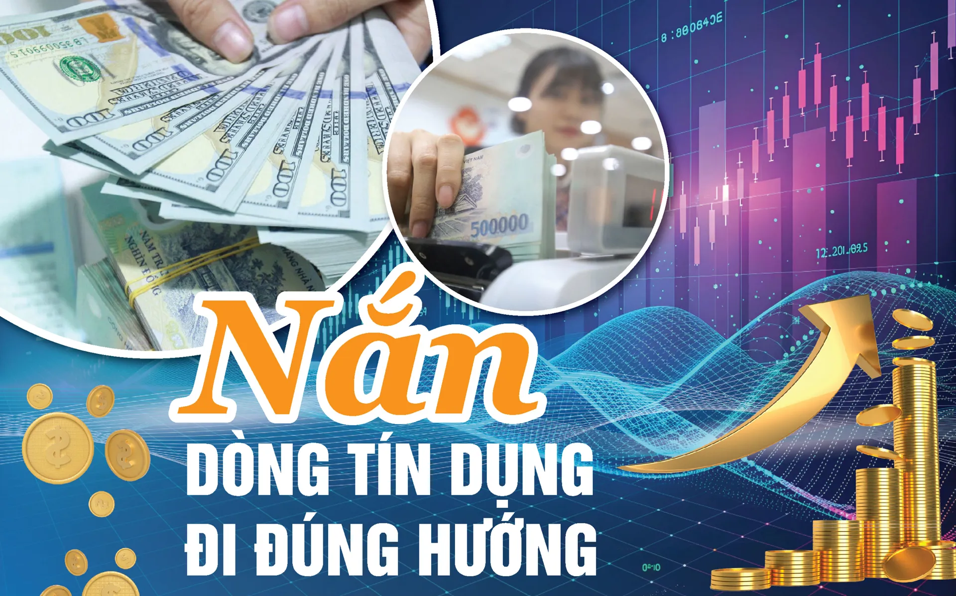 Hình ảnh 1