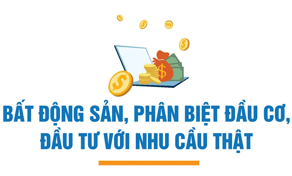 Hình ảnh 5