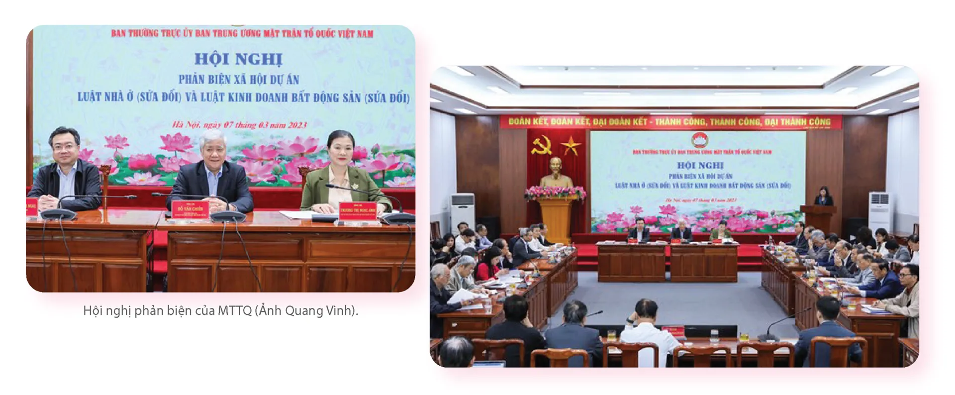 Hình ảnh 3