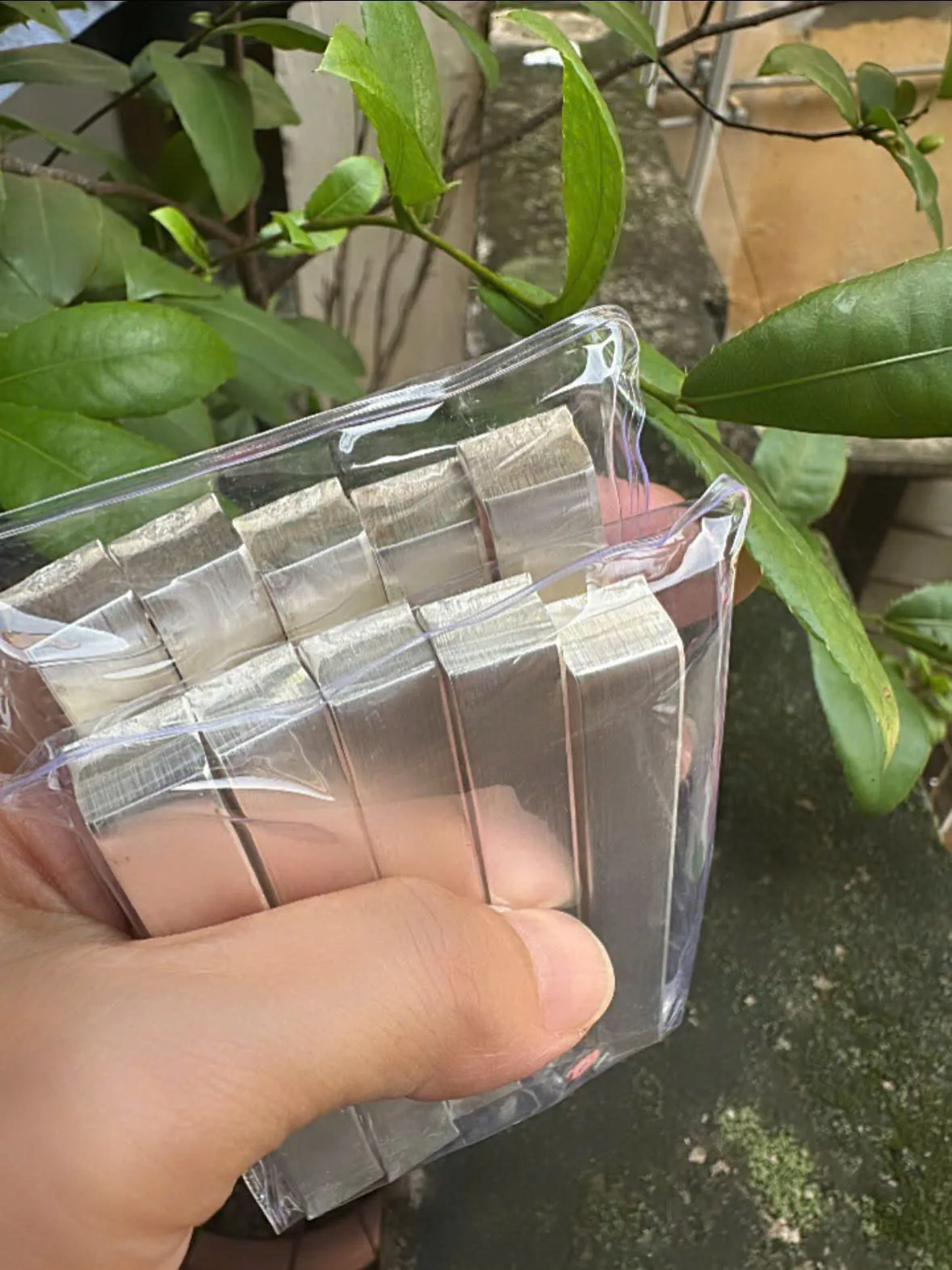 Hình ảnh 1