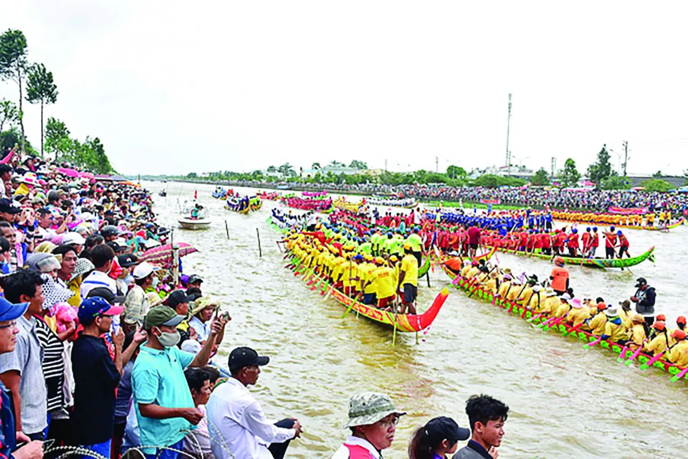 Hình ảnh 2