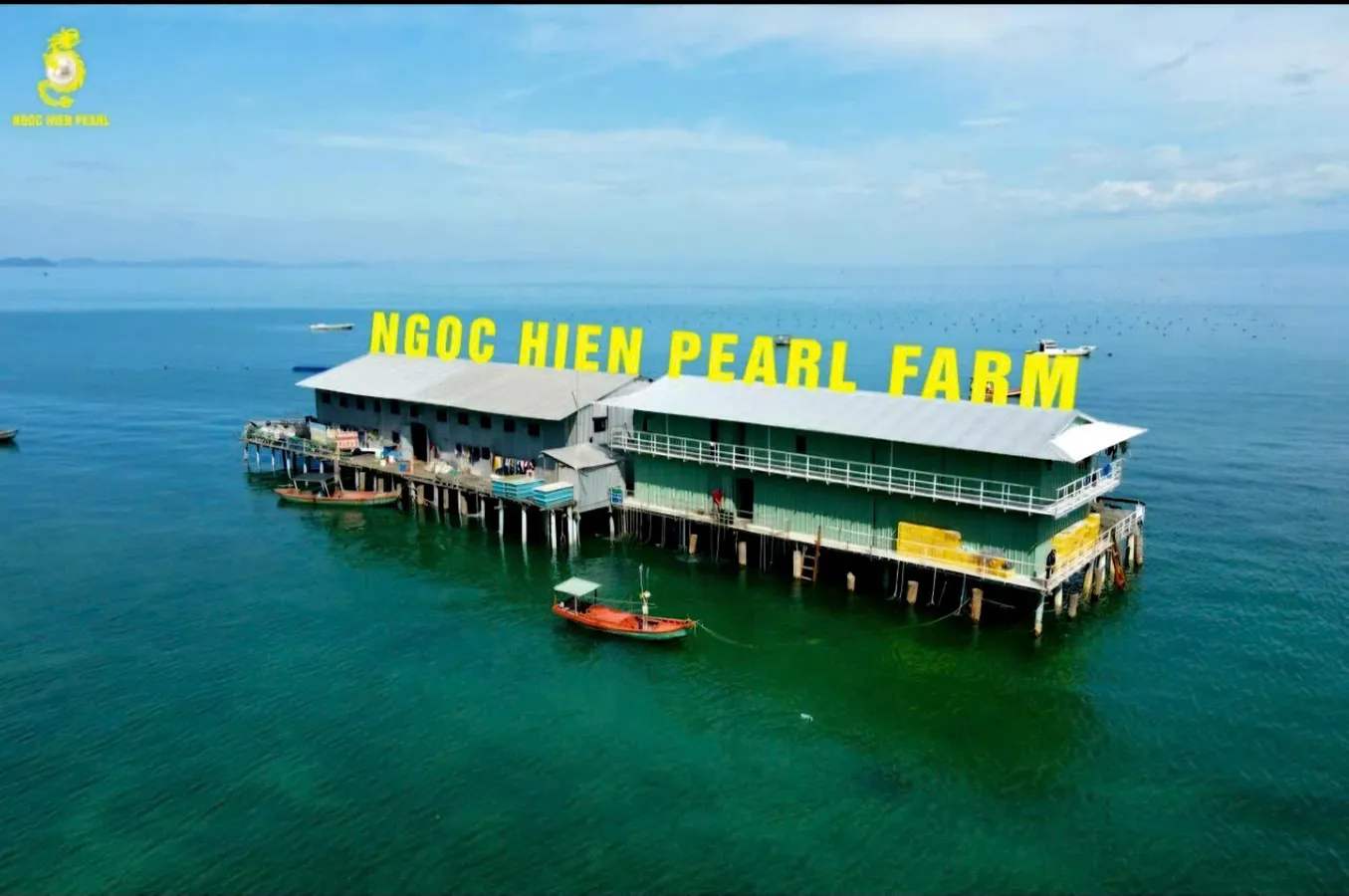 Hình ảnh 2
